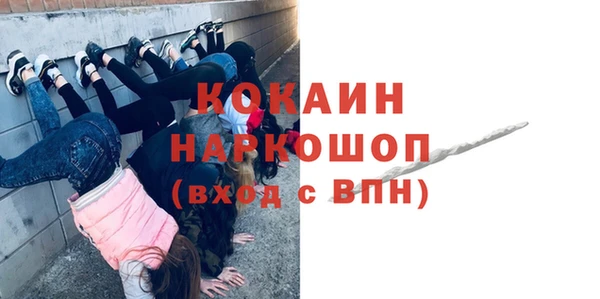 твердый Осинники
