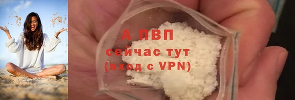 твердый Осинники