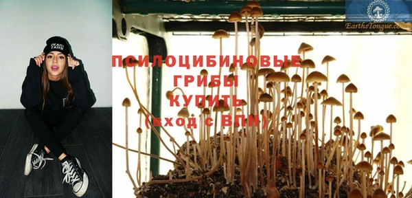 прущие крисы Осташков