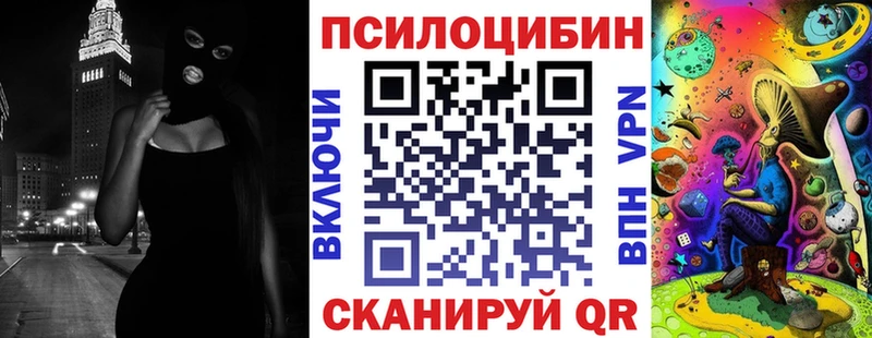 Галлюциногенные грибы Psilocybe Сурск
