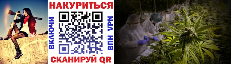 Конопля план  наркота  Сурск 